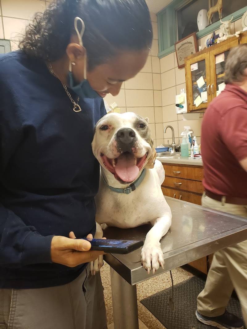Helouin Veterinary Hospital